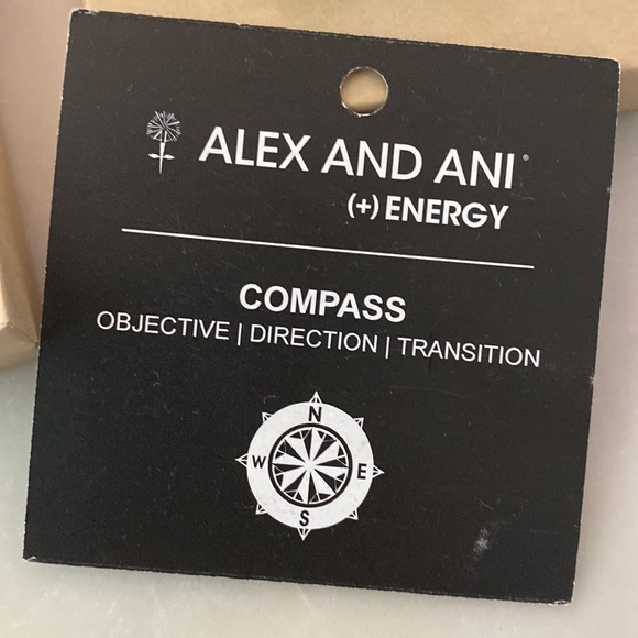 Alex and Ani Compass Charm Bracelet - Picture 6 of 9
